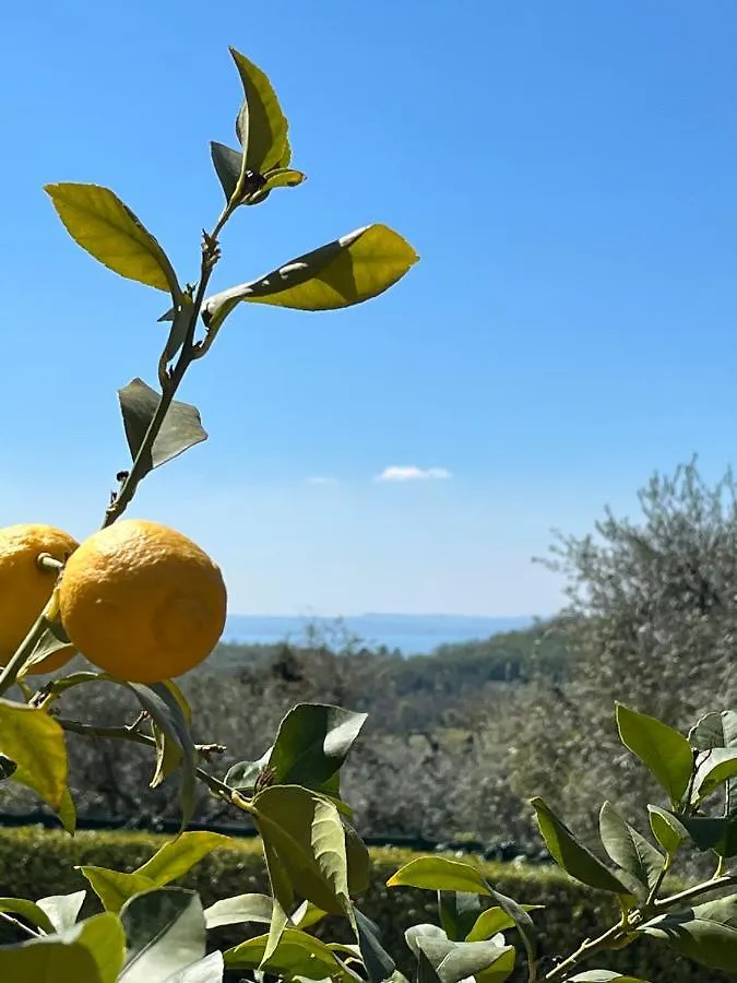 Apartamento Residence Gli Ulivi Castion Veronese Italia