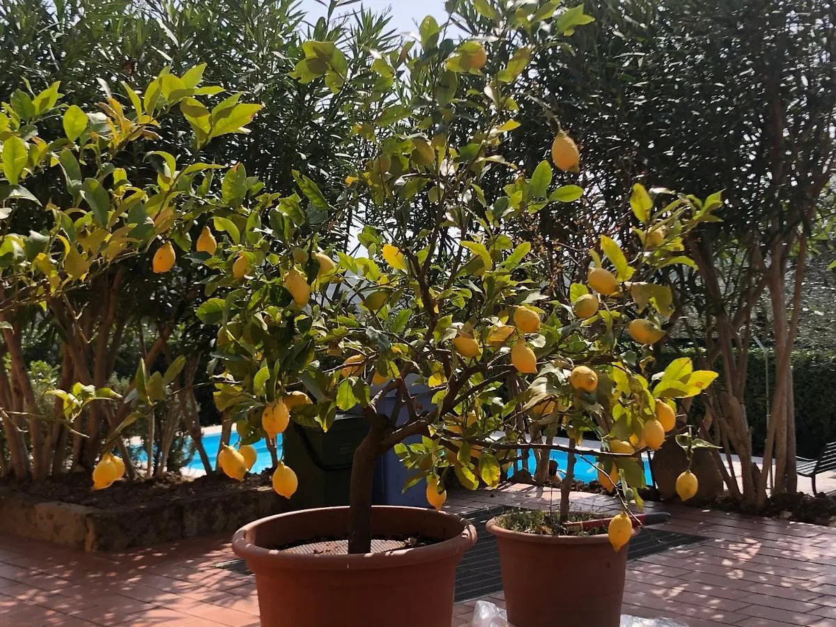 Apartament Residence Gli Ulivi Castion Veronese